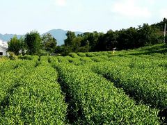 -乌石村