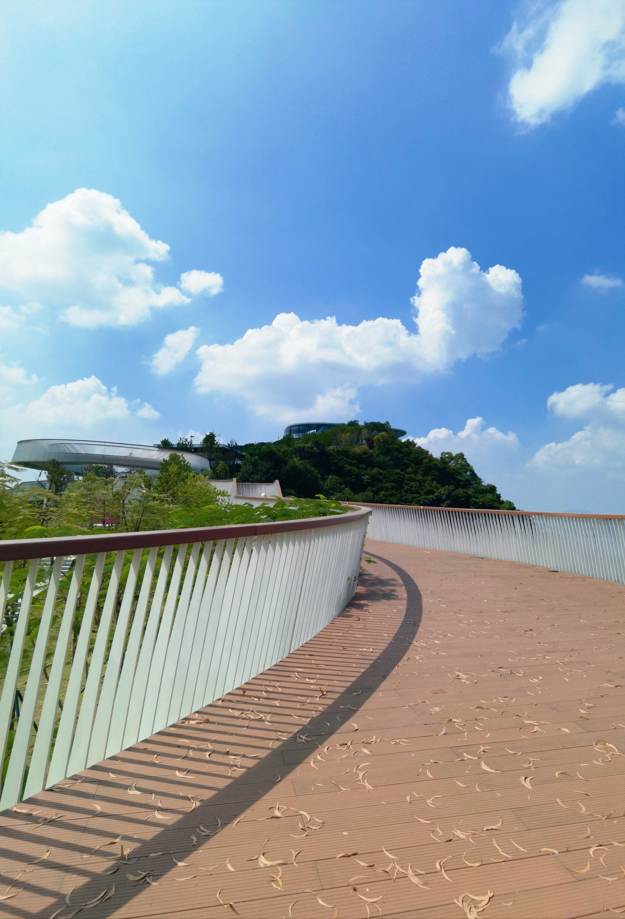 光明科学城公园