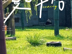 -沈阳森林动物园