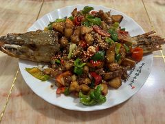 -煲来饱去冷水鱼