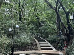 -莲花山公园