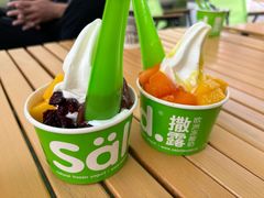 -Salud撒露欧洲冻酸奶(蓝色港湾店)