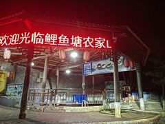 -鲤鱼塘农家山庄