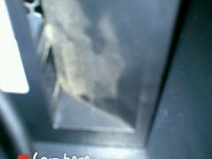 android_upload_pic-北李妈妈菜·海肠捞饭(高新万达店)