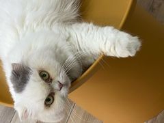 -拜鲁耶动物诊疗中心·宠家动物医院