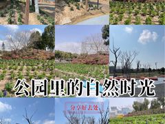 -春花秋色城市公园