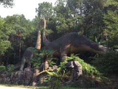 -森波拉奇妙世界