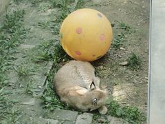 -青藏高原野生动物园