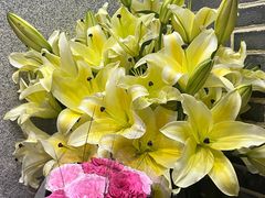 -农汤老店(顺联公园里店)