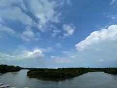 -东寨港红树林旅游区