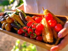 -安德鲁户外烧烤帐篷营地(马泉营店)