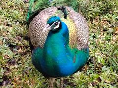 -天目湖御水温泉·度假酒店