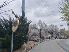 -棋盘山风景区