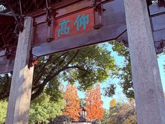 -汇龙潭