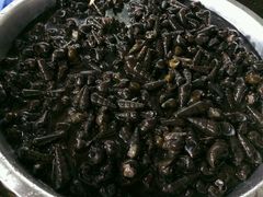 -八仔大富楼·河鲜(西江店)