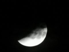 -香港尖沙咀凯悦酒店