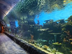 -华夏文旅海洋公园