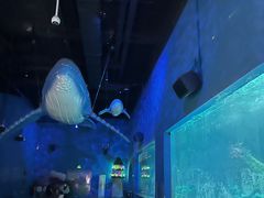 -常州海昌海洋探索馆