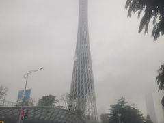 -广州塔晖粤轩中餐厅