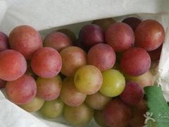 -马陆小张葡萄园农家乐