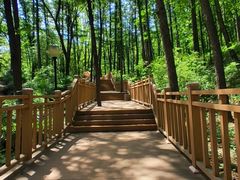 -鲁山国家森林公园