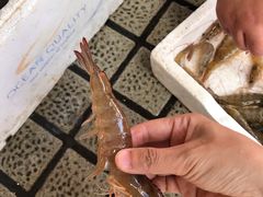 -江杨农产品批发市场