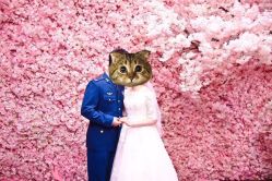 -拾尚映画·STUDIO婚纱摄影(中关村店)