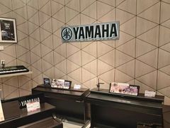 -知音艺术教育培训·钢琴培训·音乐培训(河西金鹰世界校区)