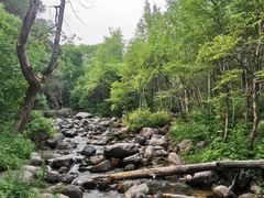 -玉渡山自然风景区