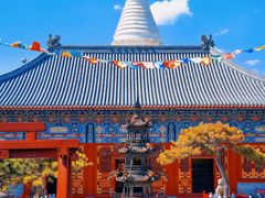 -沉浸北京·团建旅行·密室剧本杀·年会会议轰趴拓展