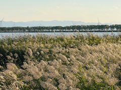 -野鸭湖国家湿地公园