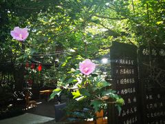 -张鸟园农家乐(张鸟园店)