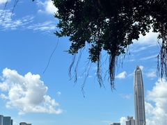 -莲花山公园