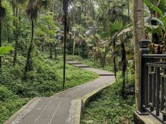 -凤栖山
