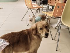 -怪兽屋·羊驼·猫咖·狗咖(俊华广场店)