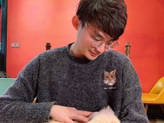 -猫色咖啡·猫咖