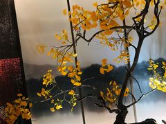 -京华烟云·北京烤鸭(领展购物广场·中关村店)