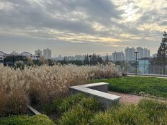 -中共上海市委党校 上海行政学院