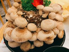 玉女菇（活体）-今日炊牛·潮汕牛肉火锅(华采天地店)