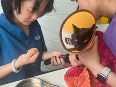 -萌兽医馆·宠物医院·猫骨科(创景店)