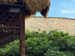 -山菌美食苑(振兴路店)