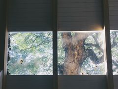 -Cheevit Cheeva(Sirimangkalajarn)