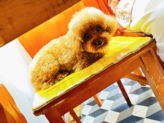 -Mh真味米肠汤饭