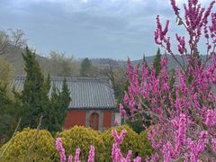 -浮来山风景区