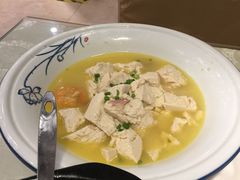 东坡豆腐-城北食府(枫林店)