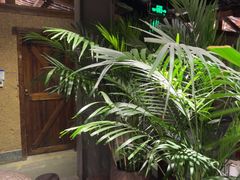 -丹江渔村(首都机场店)