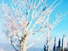 -亚布力新体委滑雪场