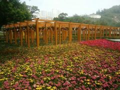 android_upload_pic-龙环葡韵住宅式博物馆