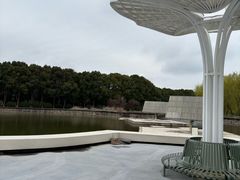 -上海鲜花港
