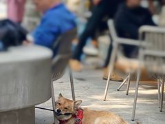 -大小咖啡 BigSmallCoffee(麦子店)